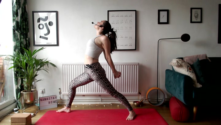 Gentle Vinyasa