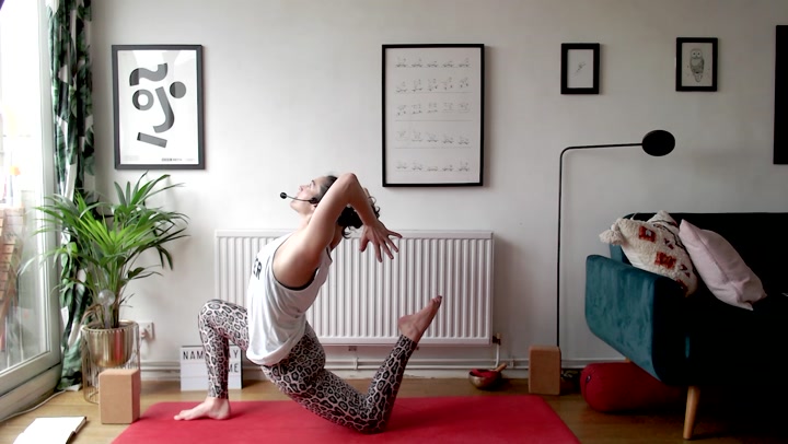 Gentle Vinyasa